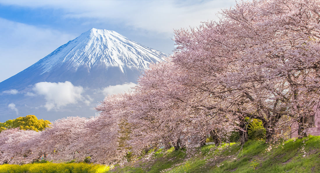 巨匠美語日語真人家教課程-旅遊日語課程，以主修課程文法概念延伸，模擬旅遊實境，學習到實用的日語。