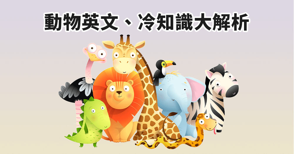 動物英文單字大全：從農場到野外，一次學會常見動物單字＋有趣冷知識懶人包