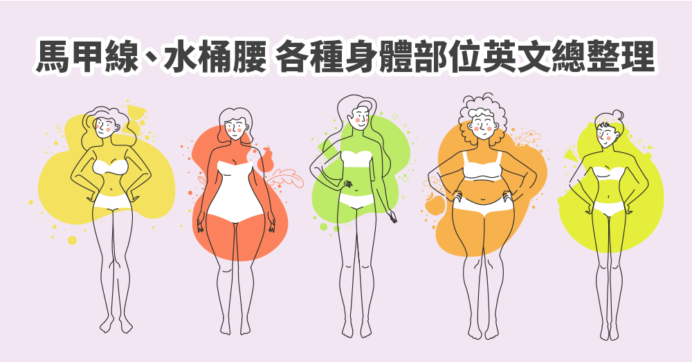 肌肉英文怎麼說？ 馬甲線、水桶腰各種身體部位英文總整理