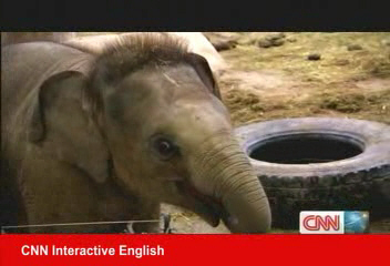 大象便便幫動物園發電