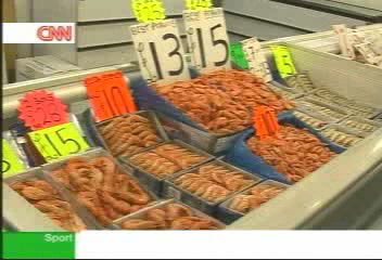 五十年後海洋將無魚可捕？